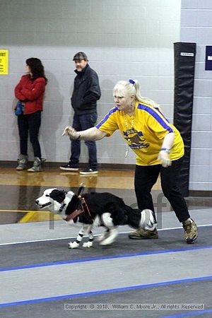 MCRD Unplugged Flyball Tournement<br />March 21st, 2010