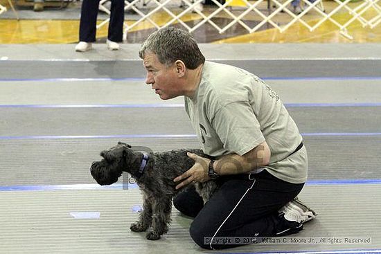 MCRD Unplugged Flyball Tournement<br />March 21st, 2010