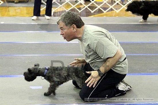 MCRD Unplugged Flyball Tournement<br />March 21st, 2010