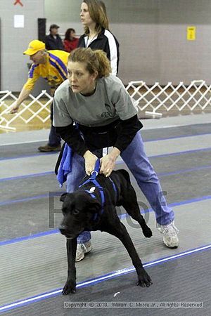 MCRD Unplugged Flyball Tournement<br />March 21st, 2010