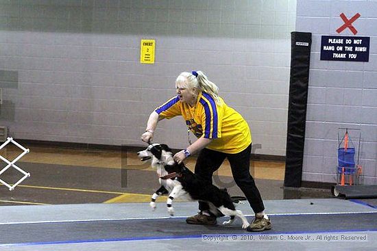 MCRD Unplugged Flyball Tournement<br />March 21st, 2010