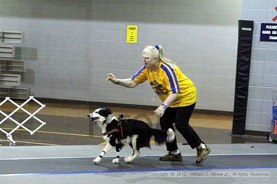 MCRD Unplugged Flyball Tournement<br />March 21st, 2010