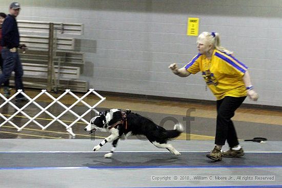 MCRD Unplugged Flyball Tournement<br />March 21st, 2010