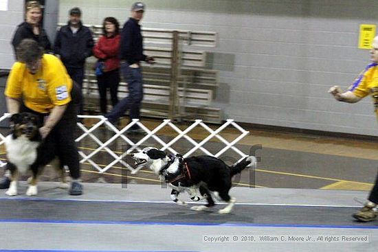 MCRD Unplugged Flyball Tournement<br />March 21st, 2010