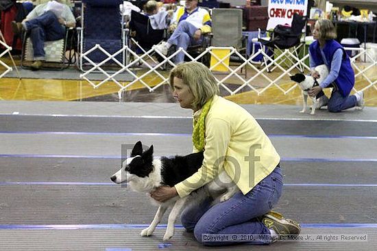 MCRD Unplugged Flyball Tournement<br />March 21st, 2010