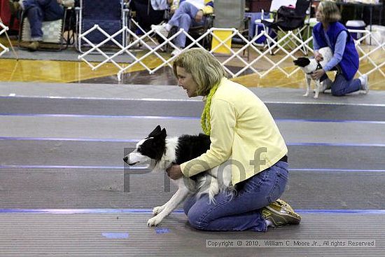 MCRD Unplugged Flyball Tournement<br />March 21st, 2010