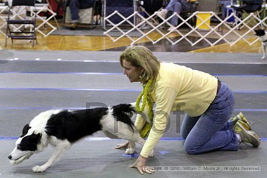 MCRD Unplugged Flyball Tournement<br />March 21st, 2010