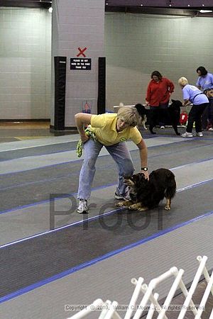 MCRD Unplugged Flyball Tournement<br />March 21st, 2010