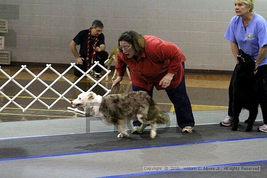 MCRD Unplugged Flyball Tournement<br />March 21st, 2010