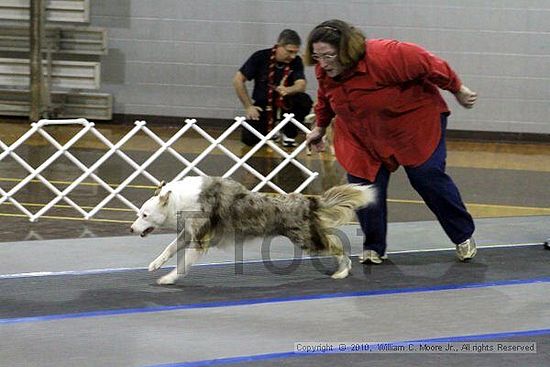 MCRD Unplugged Flyball Tournement<br />March 21st, 2010