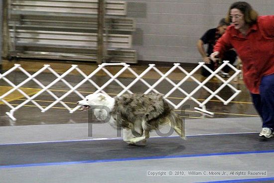 MCRD Unplugged Flyball Tournement<br />March 21st, 2010