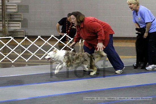 MCRD Unplugged Flyball Tournement<br />March 21st, 2010