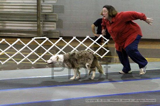 MCRD Unplugged Flyball Tournement<br />March 21st, 2010