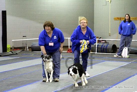 MCRD Unplugged Flyball Tournement<br />March 21st, 2010