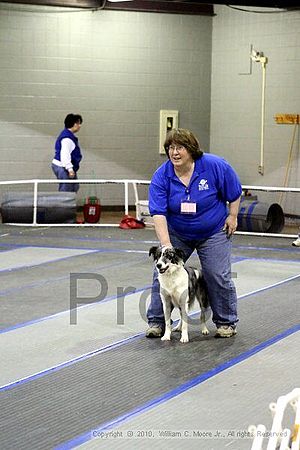 MCRD Unplugged Flyball Tournement<br />March 21st, 2010