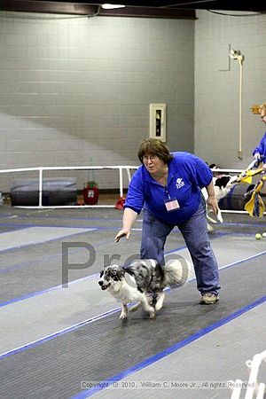 MCRD Unplugged Flyball Tournement<br />March 21st, 2010