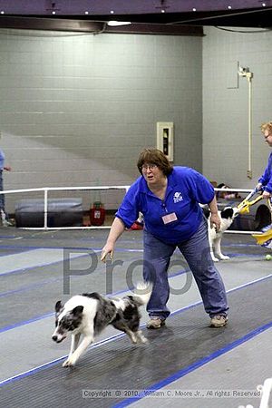 MCRD Unplugged Flyball Tournement<br />March 21st, 2010