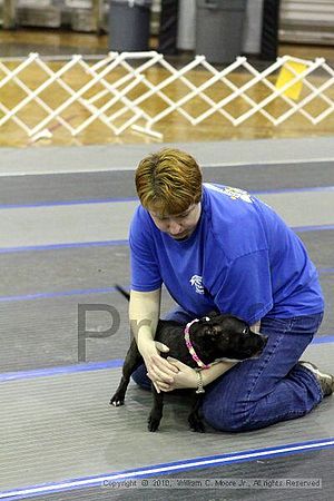 MCRD Unplugged Flyball Tournement<br />March 21st, 2010