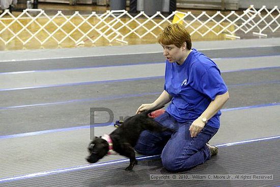 MCRD Unplugged Flyball Tournement<br />March 21st, 2010