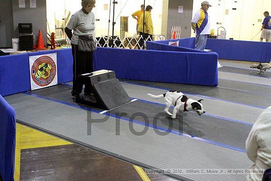 MCRD Unplugged Flyball Tournement<br />March 21st, 2010