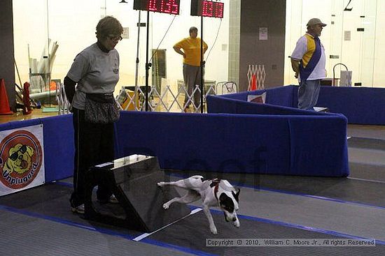 MCRD Unplugged Flyball Tournement<br />March 21st, 2010