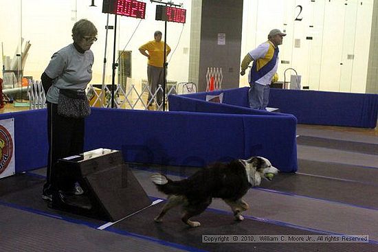 MCRD Unplugged Flyball Tournement<br />March 21st, 2010