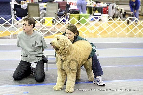 MCRD Unplugged Flyball Tournement<br />March 21st, 2010