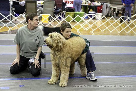 MCRD Unplugged Flyball Tournement<br />March 21st, 2010