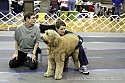 img_3521_thm.jpg