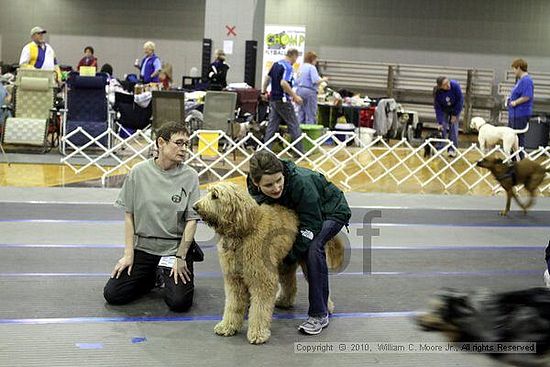 MCRD Unplugged Flyball Tournement<br />March 21st, 2010