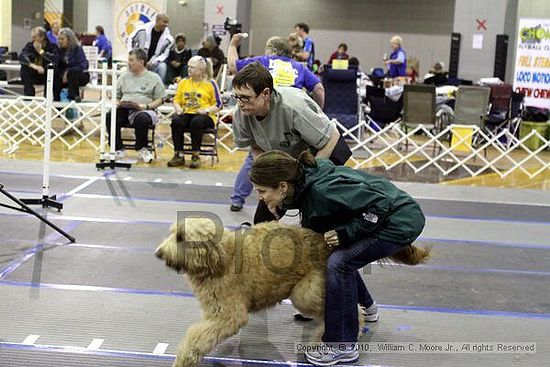 MCRD Unplugged Flyball Tournement<br />March 21st, 2010