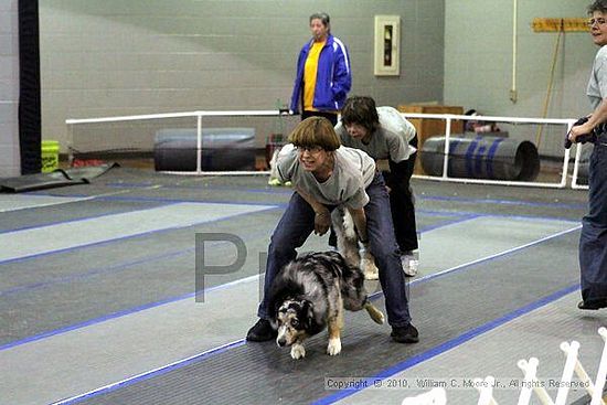 MCRD Unplugged Flyball Tournement<br />March 21st, 2010