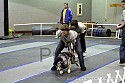 img_3527_thm.jpg