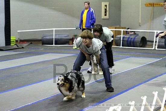 MCRD Unplugged Flyball Tournement<br />March 21st, 2010