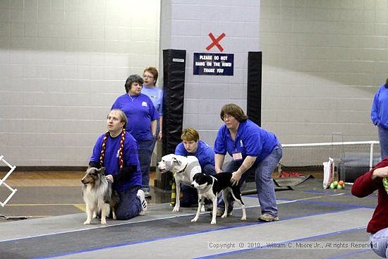 MCRD Unplugged Flyball Tournement<br />March 21st, 2010