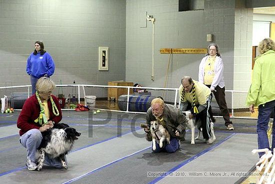 MCRD Unplugged Flyball Tournement<br />March 21st, 2010