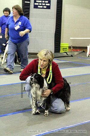 MCRD Unplugged Flyball Tournement<br />March 21st, 2010