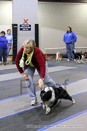 MCRD Unplugged Flyball Tournement<br />March 21st, 2010