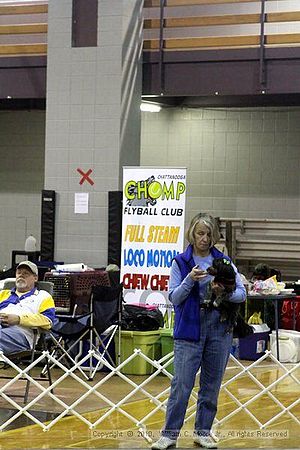 MCRD Unplugged Flyball Tournement<br />March 21st, 2010