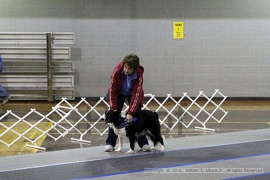 MCRD Unplugged Flyball Tournement<br />March 21st, 2010