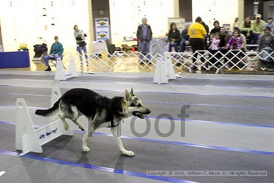 MCRD Unplugged Flyball Tournement<br />March 21st, 2010