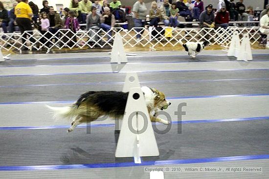 MCRD Unplugged Flyball Tournement<br />March 21st, 2010