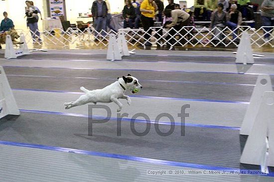 MCRD Unplugged Flyball Tournement<br />March 21st, 2010