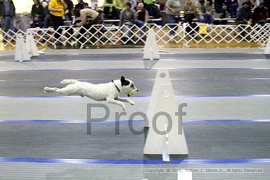 MCRD Unplugged Flyball Tournement<br />March 21st, 2010