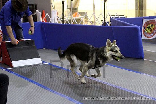 MCRD Unplugged Flyball Tournement<br />March 21st, 2010