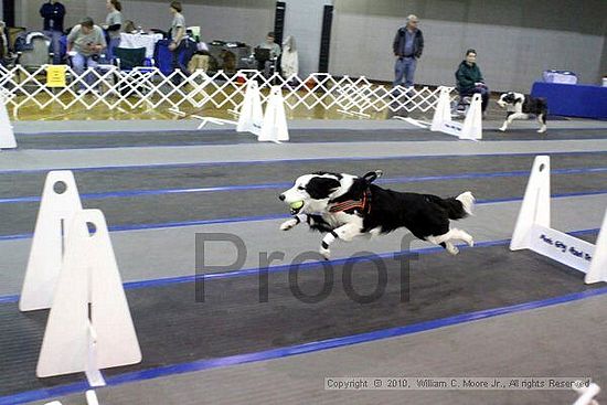 MCRD Unplugged Flyball Tournement<br />March 21st, 2010