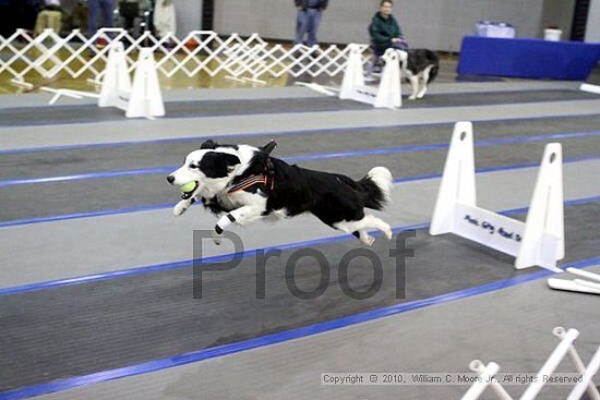 MCRD Unplugged Flyball Tournement<br />March 21st, 2010