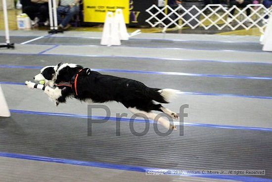 MCRD Unplugged Flyball Tournement<br />March 21st, 2010