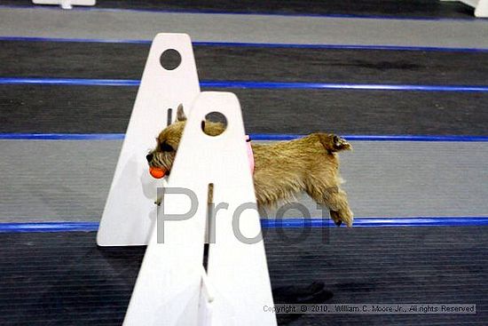 MCRD Unplugged Flyball Tournement<br />March 21st, 2010