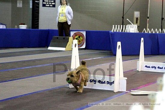 MCRD Unplugged Flyball Tournement<br />March 21st, 2010